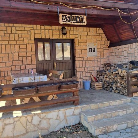 Planinska Kuca Dusan Mitrovac Buitenkant foto