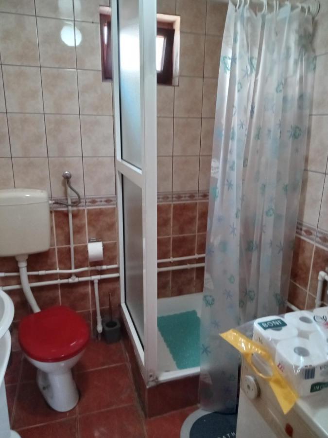 Planinska Kuca Dusan Mitrovac Buitenkant foto