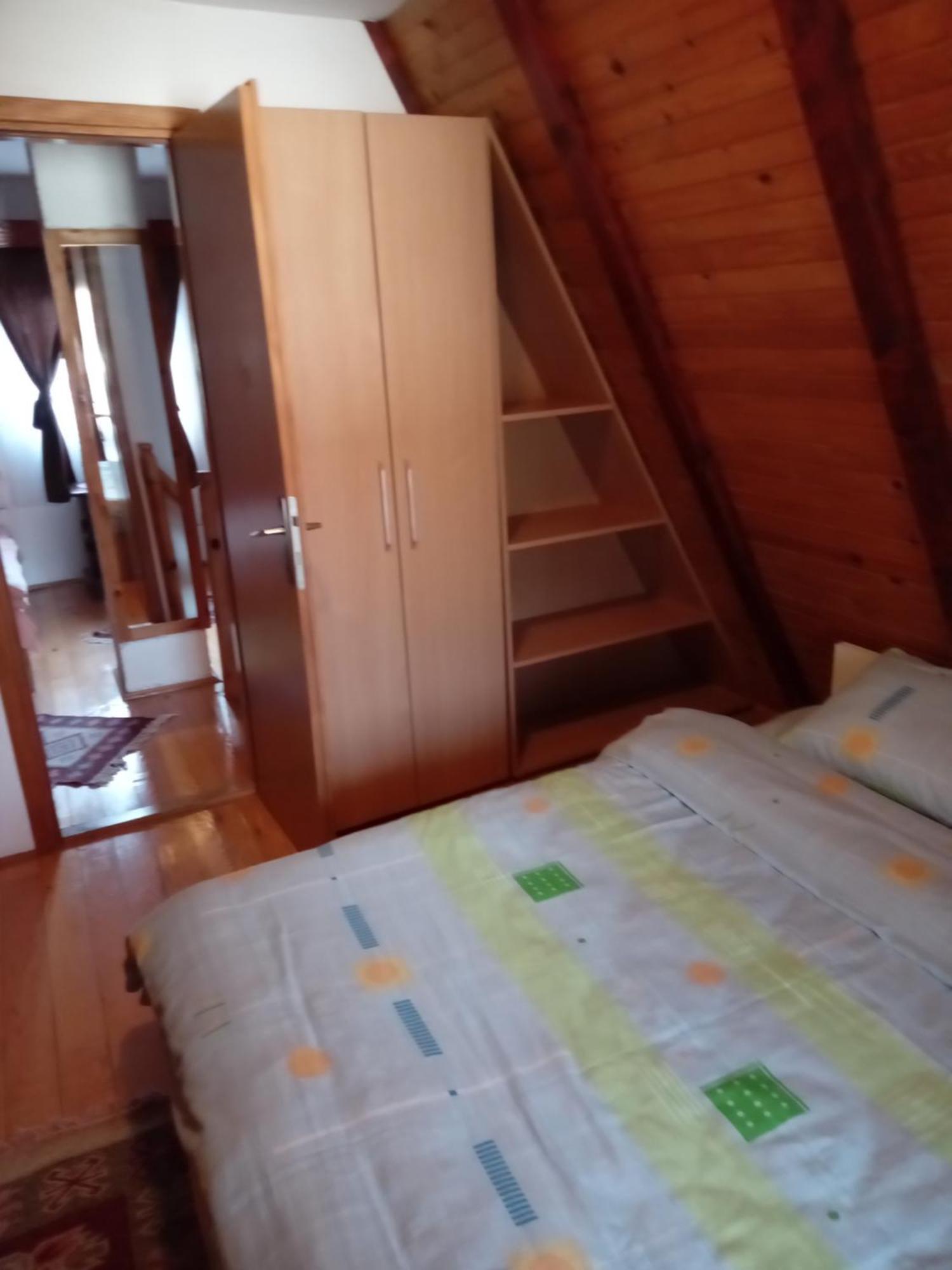 Planinska Kuca Dusan Mitrovac Buitenkant foto