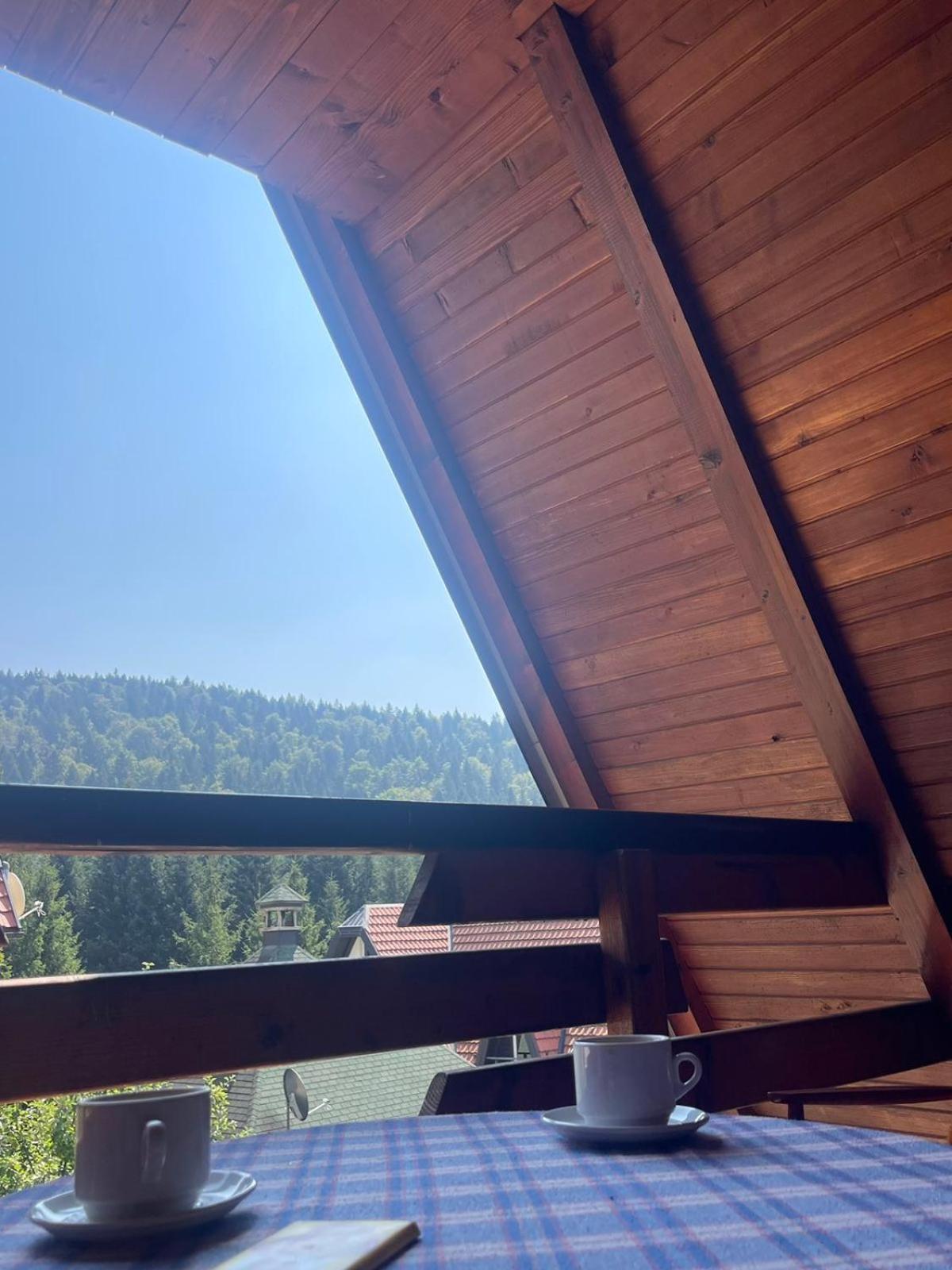 Planinska Kuca Dusan Mitrovac Buitenkant foto