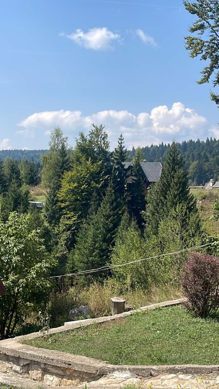 Planinska Kuca Dusan Mitrovac Buitenkant foto